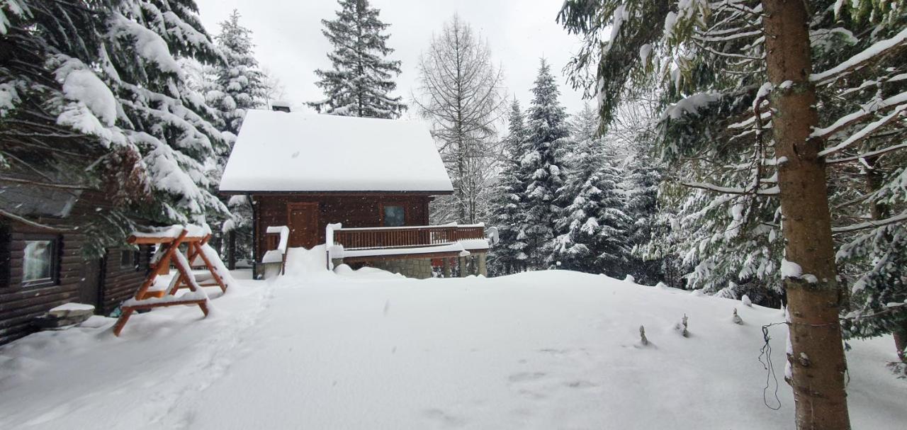 Domki Brenna Lesnica Chatka Ze Spa Экстерьер фото
